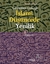 Gelenekten Geleceğe İslami Düşüncede Yenilik