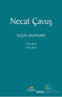 Küçük Okyanuslar
