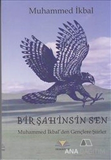 Bir Şahinsin Sen