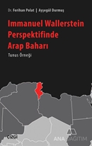 Immanuel Wallerstein Perspektifinde Arap Baharı Tunus Örneği