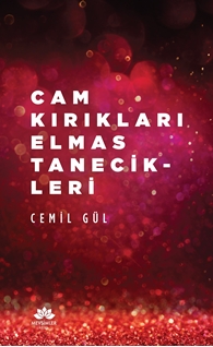 CAM KIRIKLARI ELMAS TANECİKLERİ