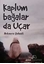 Kaplumbağalar da Uçar