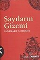 Sayıların Gizemi