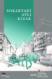 Sokaktaki Atlı Kızak