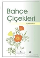 Bahçe Çiçekleri