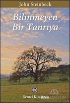 Bilinmeyen Bir Tanrıya