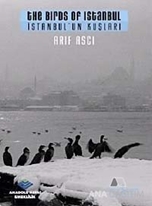 İstanbul'un Kuşları / The Birds ofm Istanbul