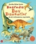 Keşfedin - Dev Dinozorlar