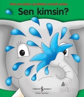 Sen Kimsin?