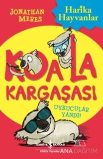 Koala Kargaşası Uykucular Uyandı