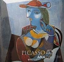 Picasso