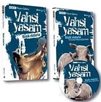 Vahşi Yaşam-Büyük Otoburlar