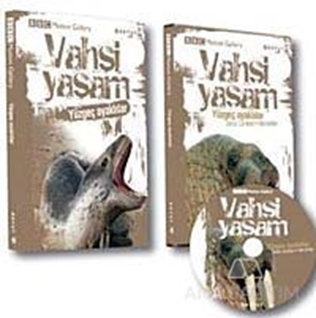 Vahşi Yaşam-Yüzgeç Ayaklılar