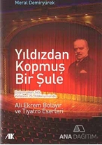 Yıldızdan Kopmuş Bir Şule