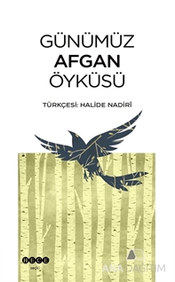 Günümüz Afgan Öyküsü