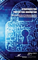 Strategies For Protecting İnnovation