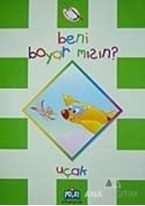 Beni Boyar Mısın? - Uçak