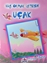 Kuş Olmak İsteyen Uçak