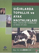 Sığırlarda Topallık ve Ayak Hastalıkları