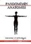 Pandomimin Anatomisi