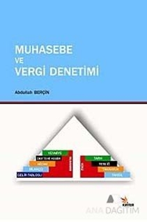 Muhasebe ve Vergi Denetimi