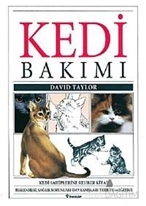 Kedi Bakımı