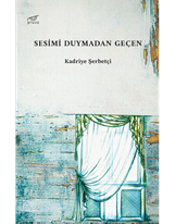 Sesimi Duymadan Geçen