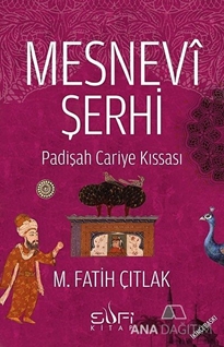 Mesnevi Şerhi