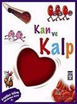 Kan ve Kalp