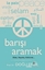 Barışı Aramak