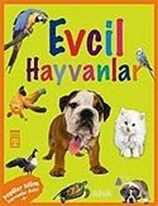 Evcil Hayvanlar