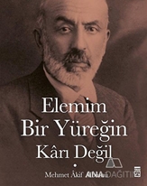 Elemim Bir Yüreğin Karı Değil