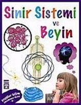 Sinir Sistemi Ve Beyin - Popüler Bilim Vücudumuz Dizisi 9