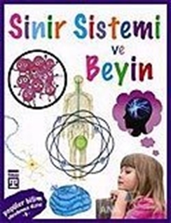 Sinir Sistemi Ve Beyin - Popüler Bilim Vücudumuz Dizisi 9