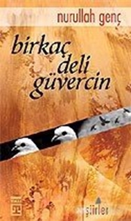 Bir Kaç Deli Güvercin