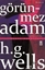 Görünmez Adam