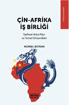 Çin - Afrika İş Birliği