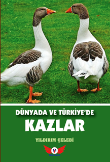 Dünyada Ve Türkiyede Kazlar