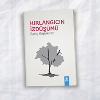 Kırlangıcın İzdüşümü