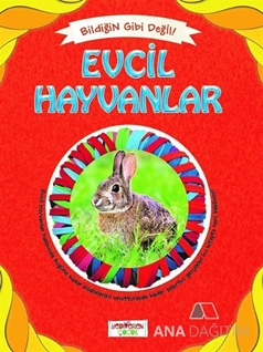 Bildiğin Gibi Değil - Evcil Hayvanlar