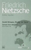 David Strauss, İtirafçı ve Yazar