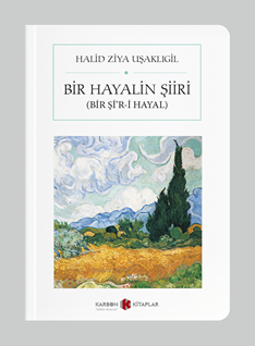 Bir Hayalin Şiiri