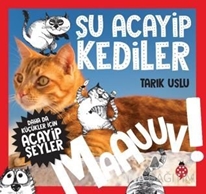 Daha da Küçükler İçin Şu Acayip Kediler