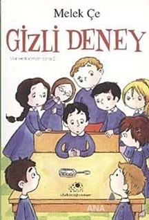 Gizli Deney