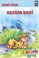 Gezgin Kedi