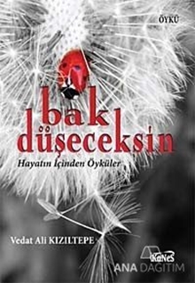 Bak Düşeceksin