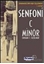 Senfoni C Minör