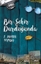 Bir Şehir Durduğunda