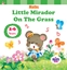 Little Mirador On The Grass
