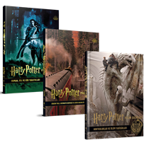 Harry Potter Film Dehlizi Serisi 3 Kitap Takım ( Karton Kapak)
